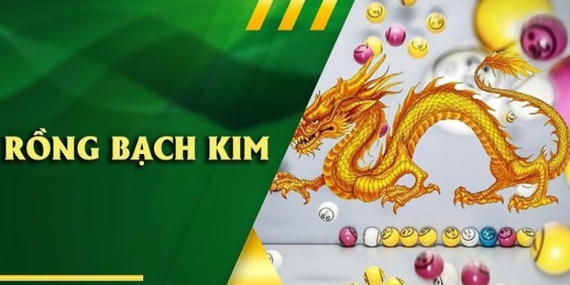 Cách bắt dàn đề rồng bạch kim chuẩn nhất tại 8KBET